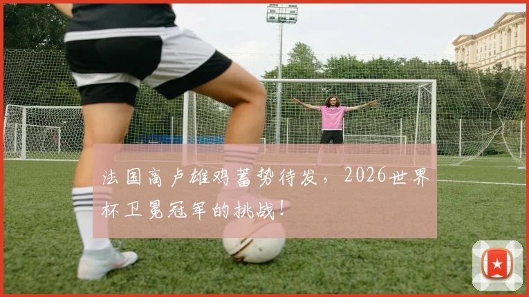 法国高卢雄鸡蓄势待发,2026世界杯卫冕冠军的挑战!