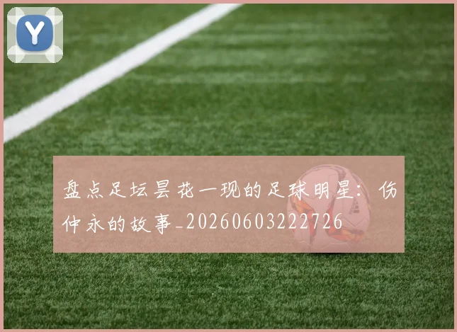 盘点足坛昙花一现的足球明星:伤仲永的故事_20260603222726