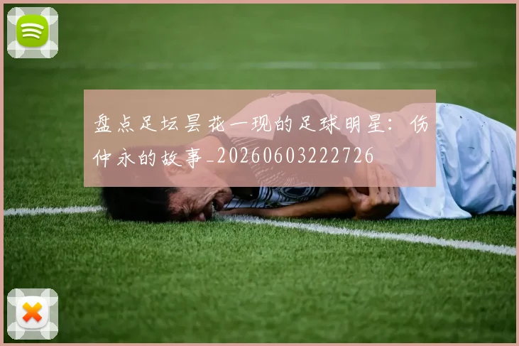 盘点足坛昙花一现的足球明星:伤仲永的故事_20260603222726