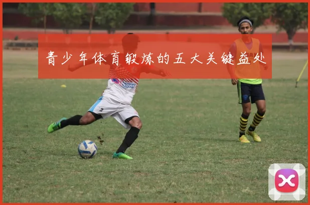 青少年体育锻炼的五大关键益处